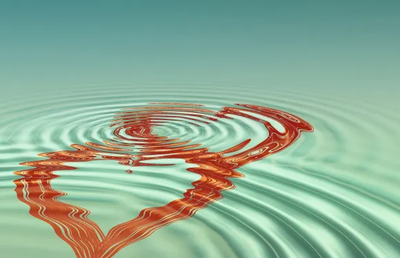 카지노 디에이와이에스 지원